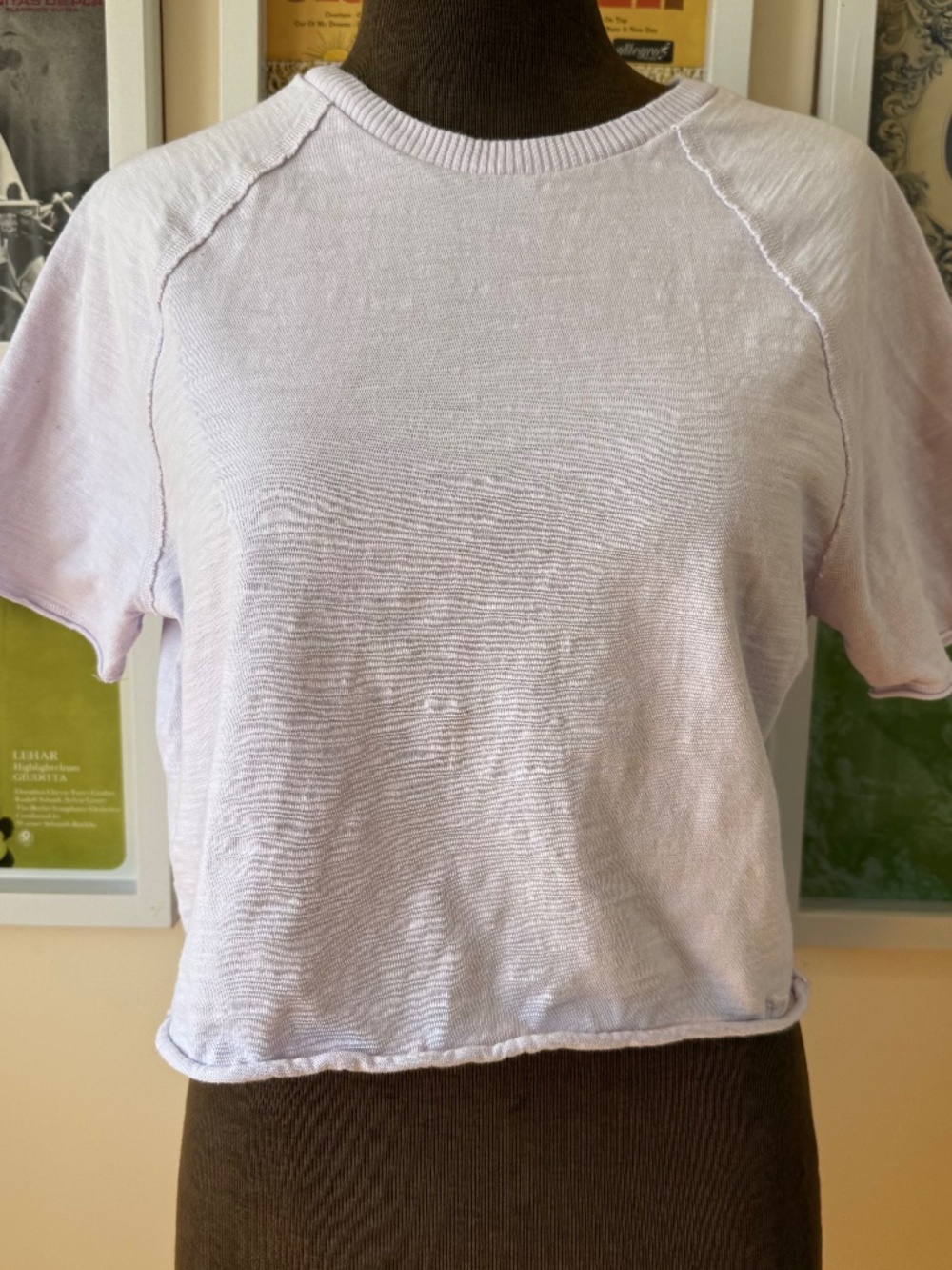 PASTEL LILAC RAW EDGE CROP TEE – MINIMAL SOFT GIRL AESTHETIC
